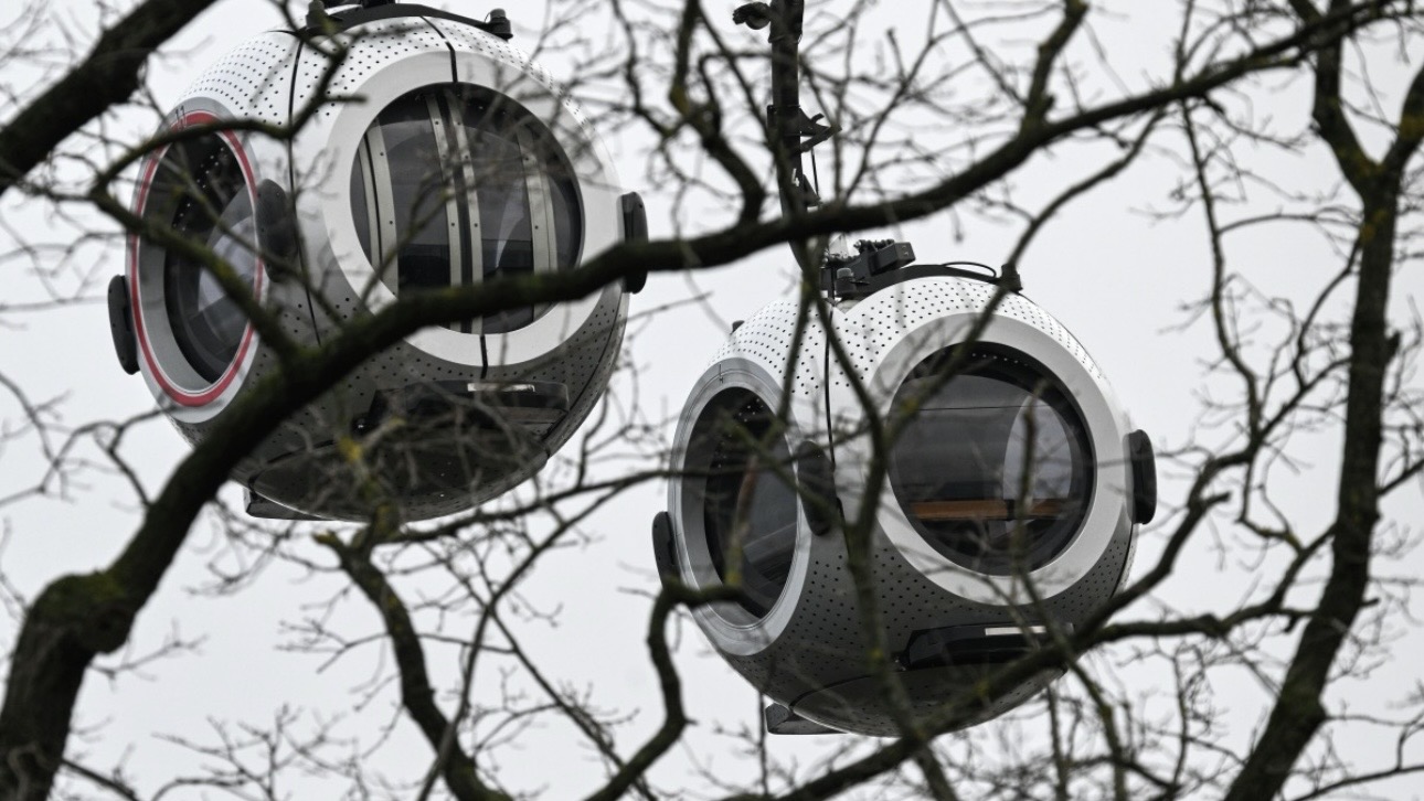 Работает ли канатная дорога на ВДНХ 19 февраля 2026 года