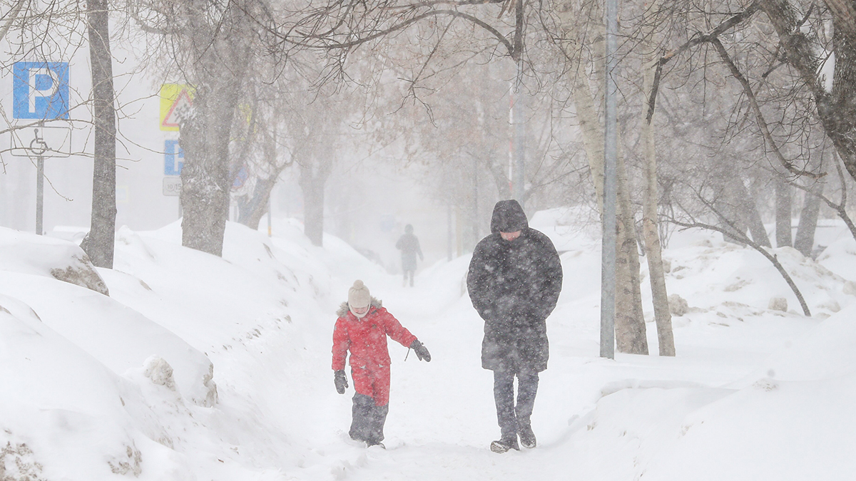 Синоптик Тишковец рассказал, когда будет пик снегопада в Москве