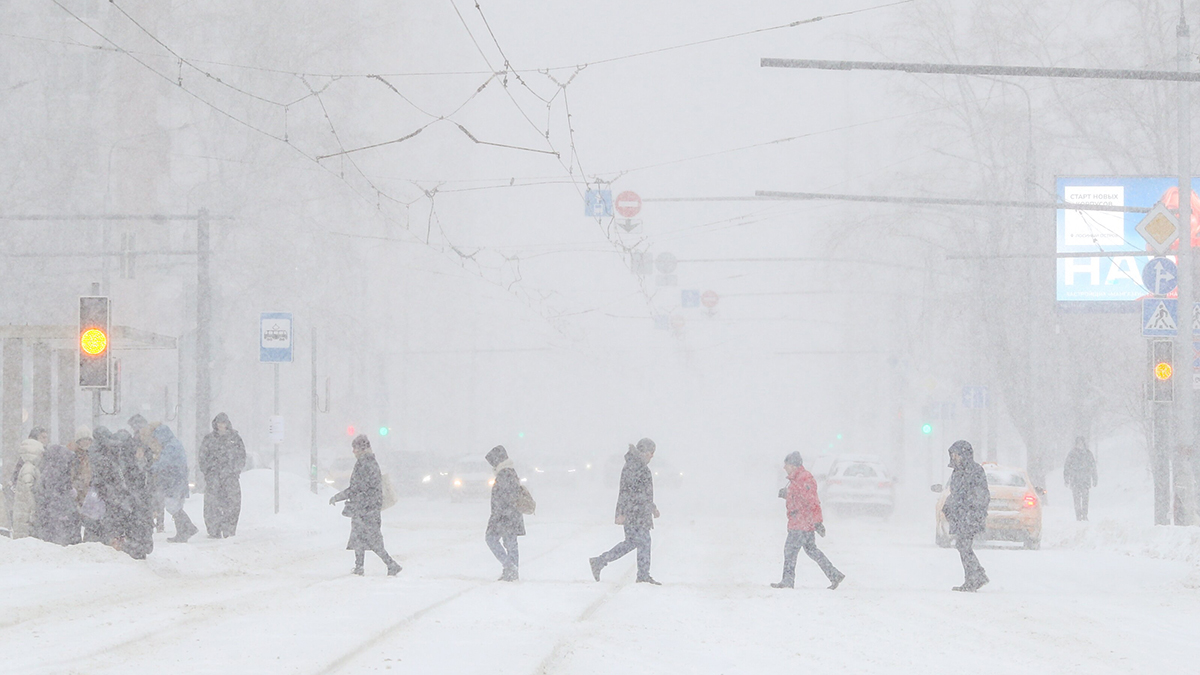 Погода в Москве 24 февраля 2026 года