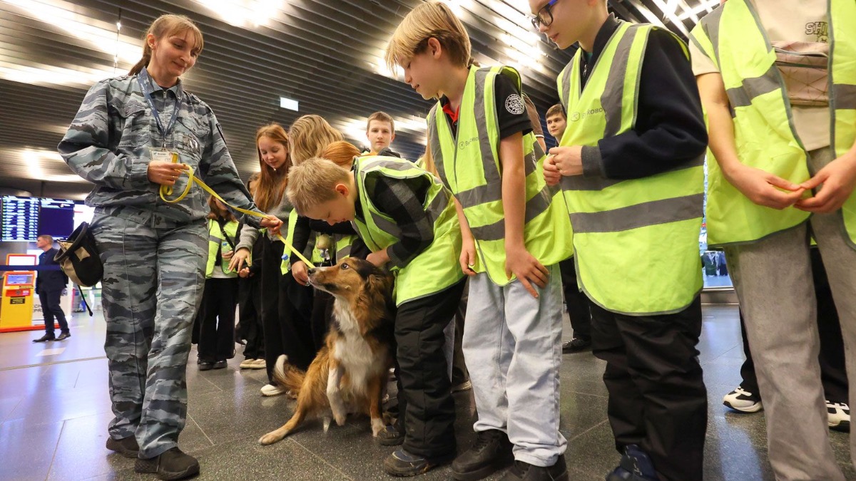 Около 700 направлений бесплатных занятий доступно детям участников СВО в ТиНАО