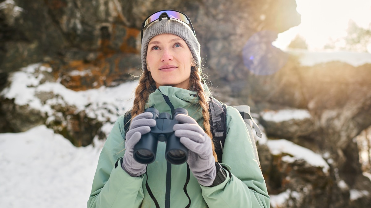 Каких редких птиц можно увидеть в Москве