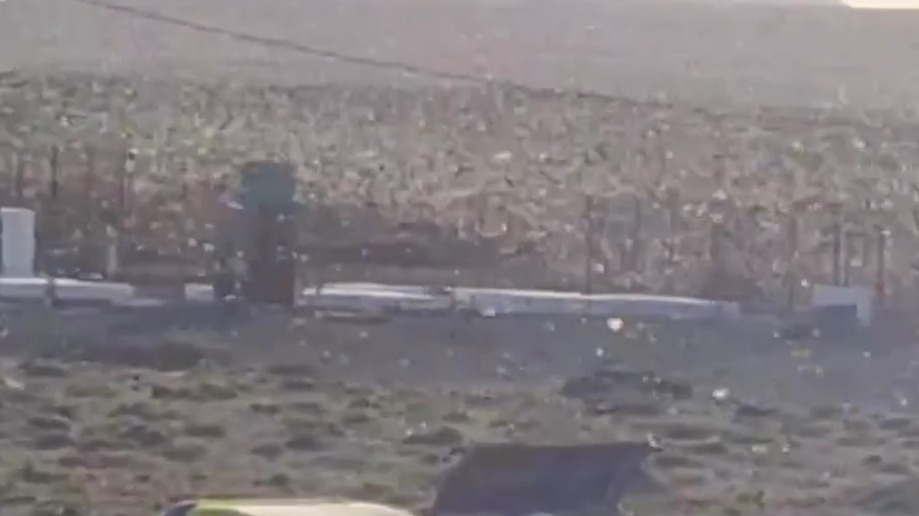 Огромные полчища саранчи атаковали Канарские острова (видео)