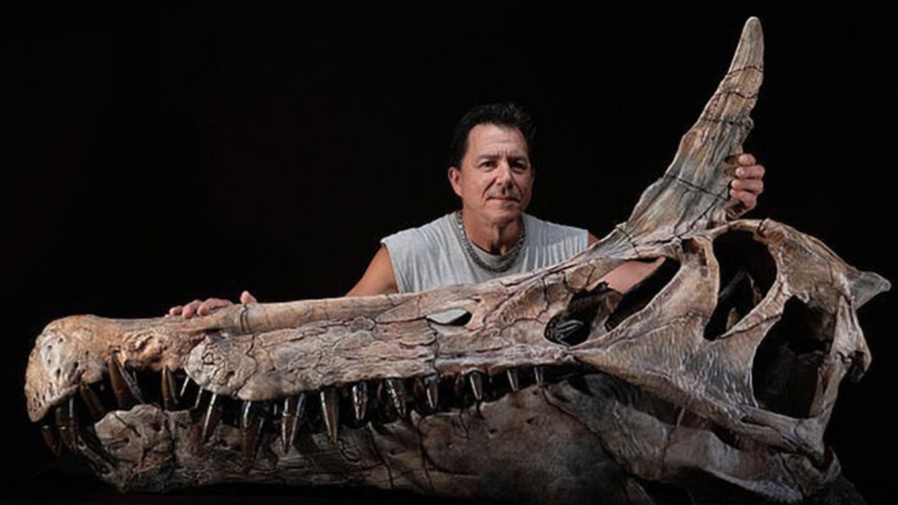 Огромный череп «дракона», жившего 95 миллионов лет назад, обнаружили в Сахаре