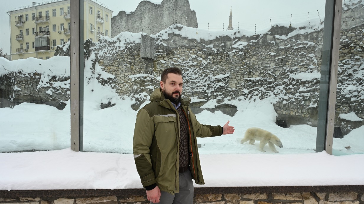 Начальник отдела хищных животных Московского зоопарка Иван Пажитнов рассказывает о белой медведице по имени Айка