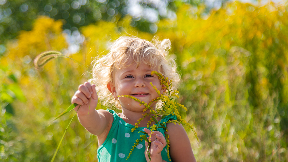 Вакцину против аллергии на пыльцу амброзии разрабатывают в России