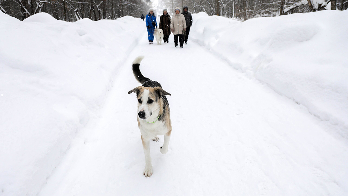 Синоптик Леус рассказал о погоде в районе Пермского края, где пропали туристы