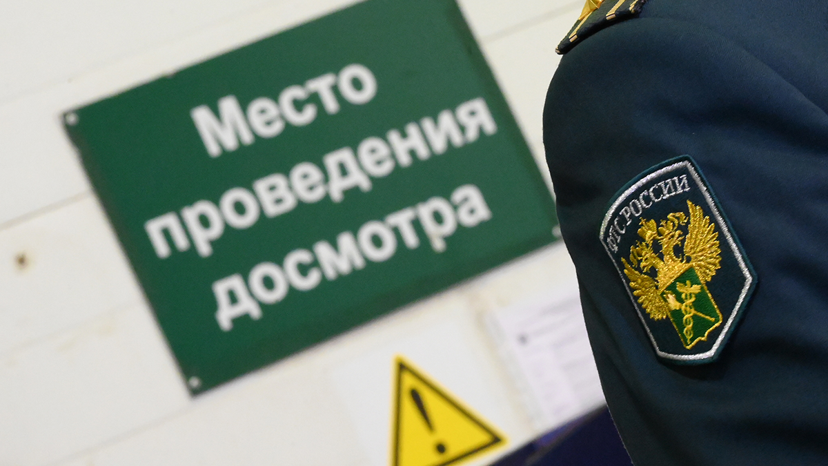 Мужчину, прилетевшего из Индии, задержали с наркотиками в аэропорту Домодедово