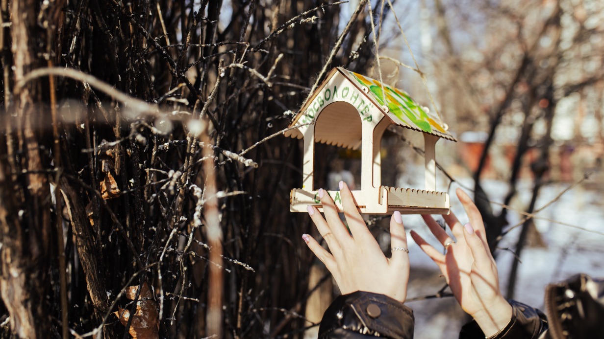 Сергунина: В Москве открыт набор волонтеров — помощников орнитологов