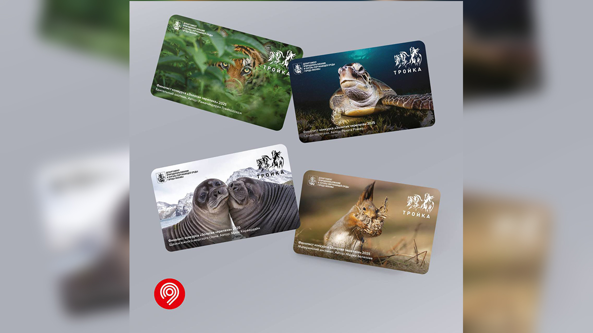 Карту «Тройка» с работами фотоконкурса «Золотая черепаха» выпустили в Москве