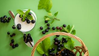 Польза черной смородины для здоровья