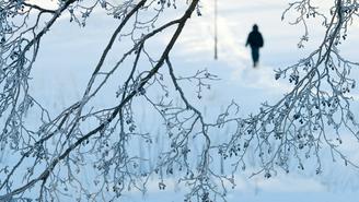 Климатолог Терешонок: Зима в Москве может стать самой снежной за 60 лет