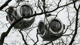 Работает ли канатная дорога на ВДНХ 19 февраля 2026 года