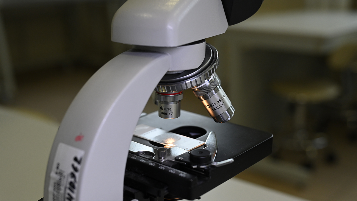 На астероиде Рюгу нашли соединения, необходимые для зарождения земной жизни