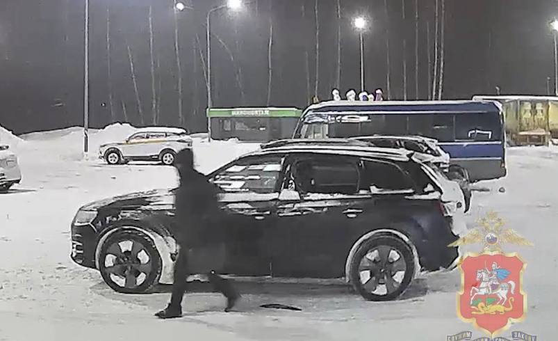 Трое мужчин украли из машины в Домодедове часы и 10 миллионов рублей