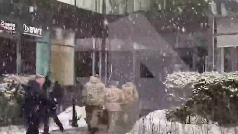 Нашли патроны: силовики провели обыск в московском бизнес-центре