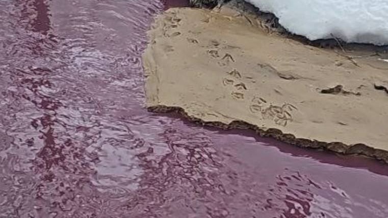 Прокуратура Москвы проверит загрязнение реки Сетуни в районе улицы Верейской