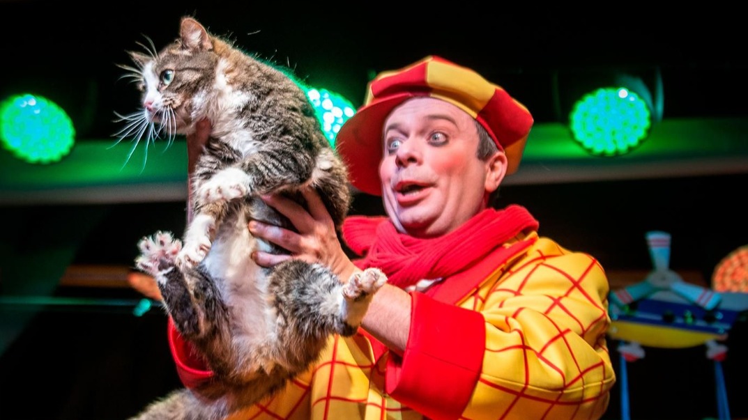 Спасенная из зоны СВО кошка Глуша впервые вышла на сцену Театра Куклачева