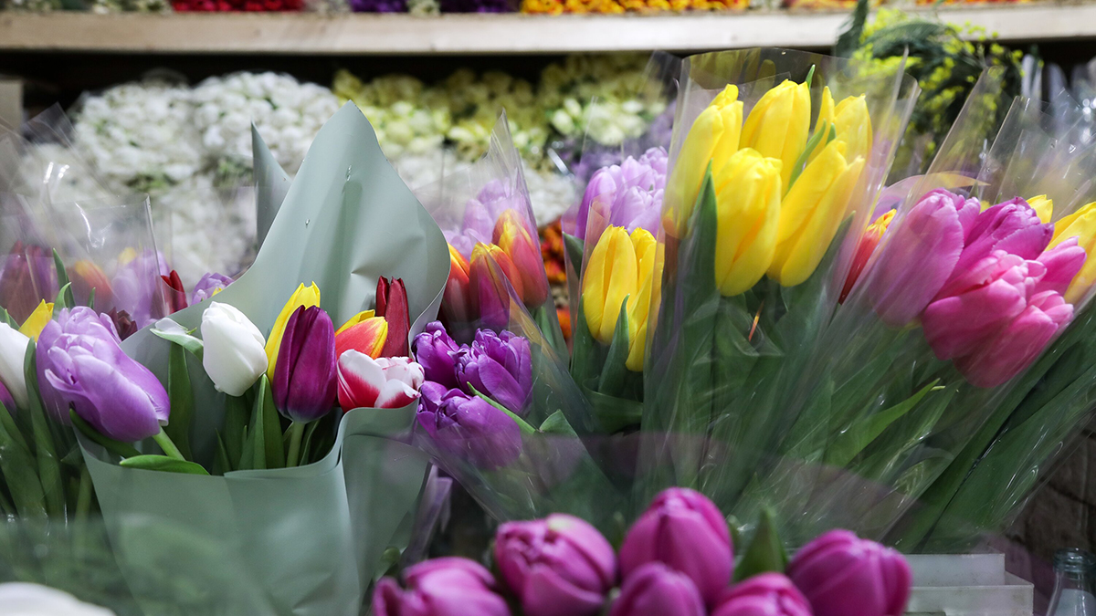 Нижегородский магазин извинился перед мальчиком, которому не продали цветы