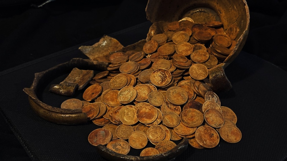 Золотые монеты, спрятанные в годы революции, нашли в Тверской области