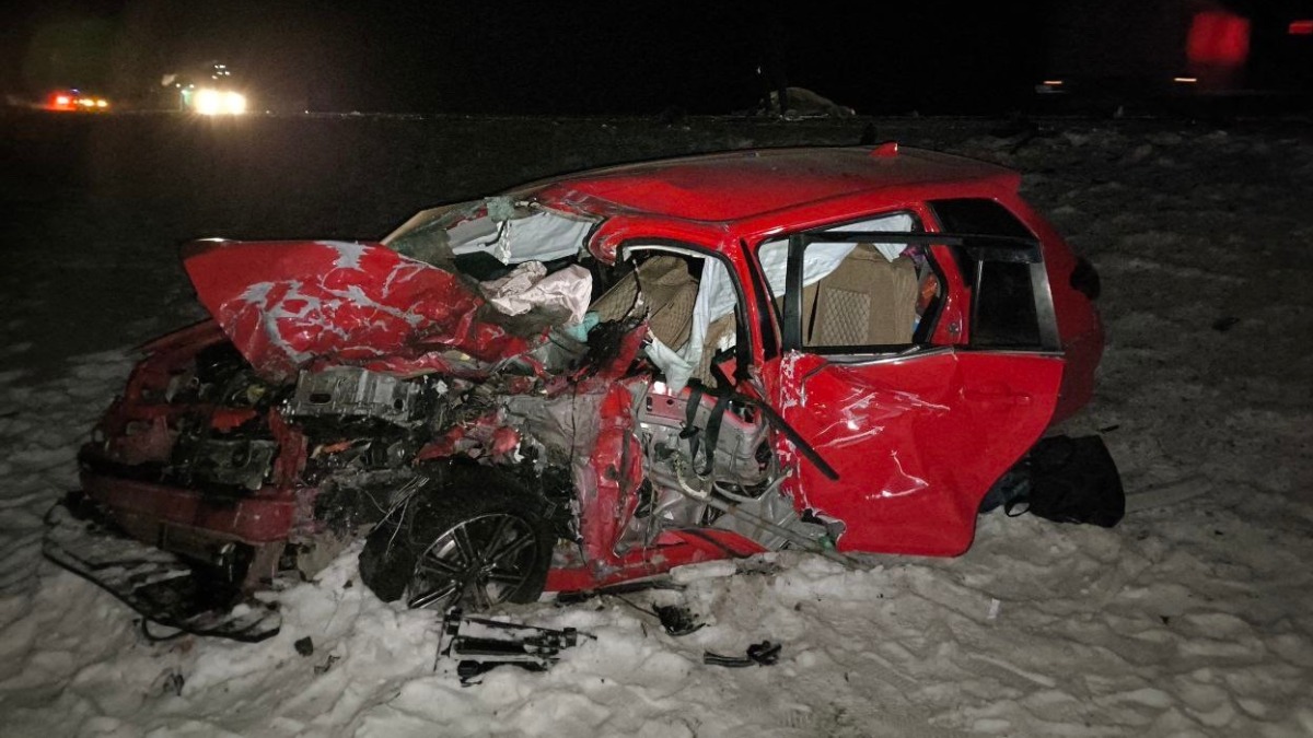 Трое человек погибли и шестеро пострадали в ДТП с лошадью в Тыве