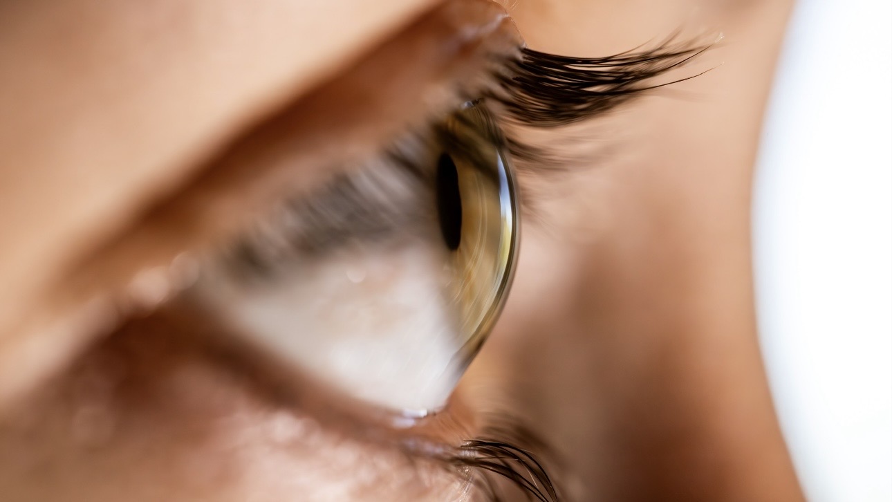 Испанские ученые разработали искусственную роговицу для человека из рыбьей чешуи