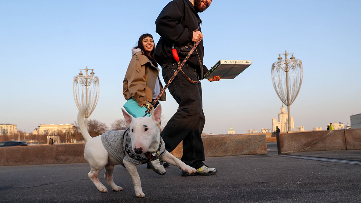 Погода в Москве с 16 по 22 марта 