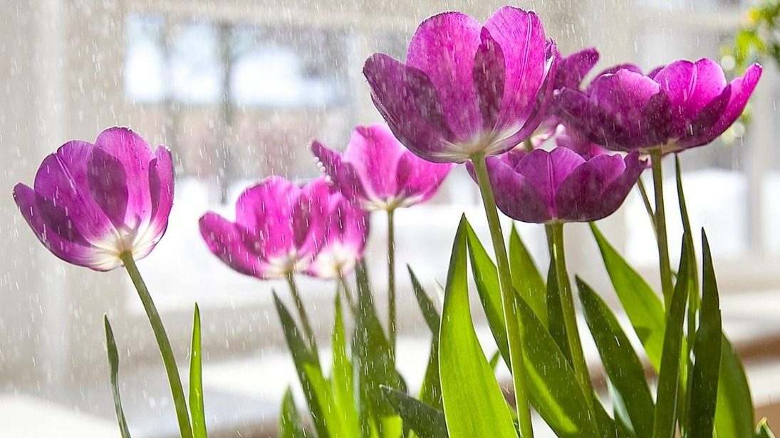 «Мосбилет» приглашает на весенние экскурсии и мастер-классы