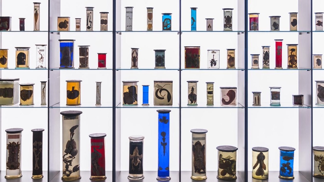 В московских музеях рассказали о принципах правильного хранения экспонатов