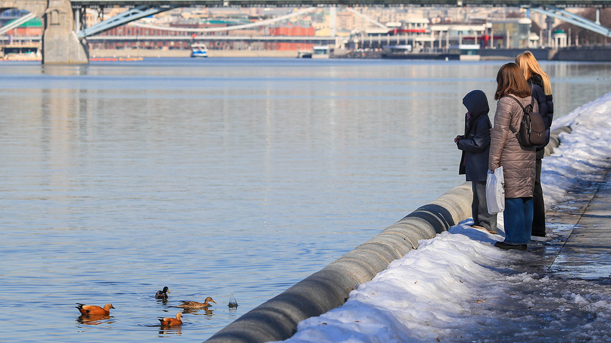 Погода в Москве 19 марта 2026 года