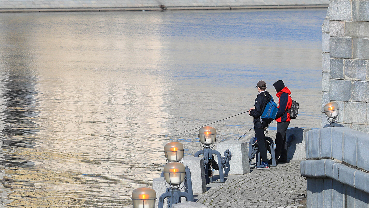 Погода в Москве 23 марта 2026 года