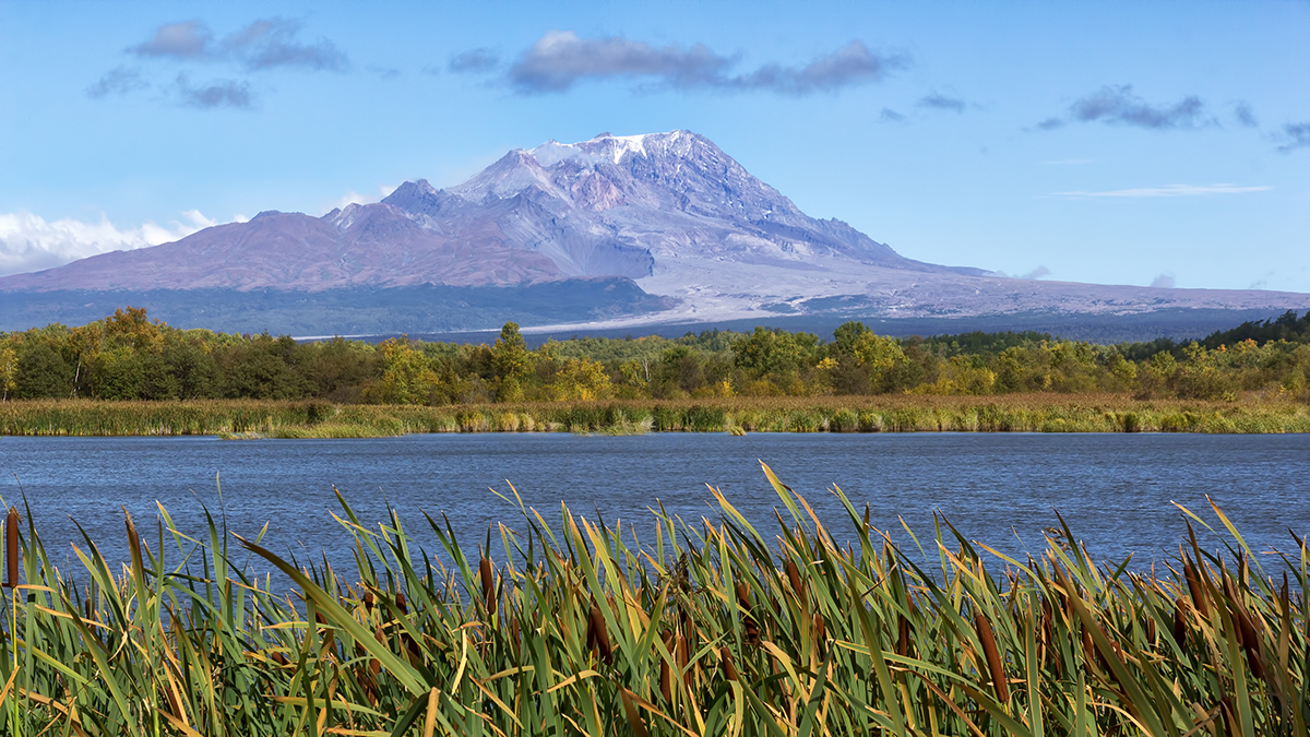 В Петербургском горном университете высказались о смерти студентов на Камчатке