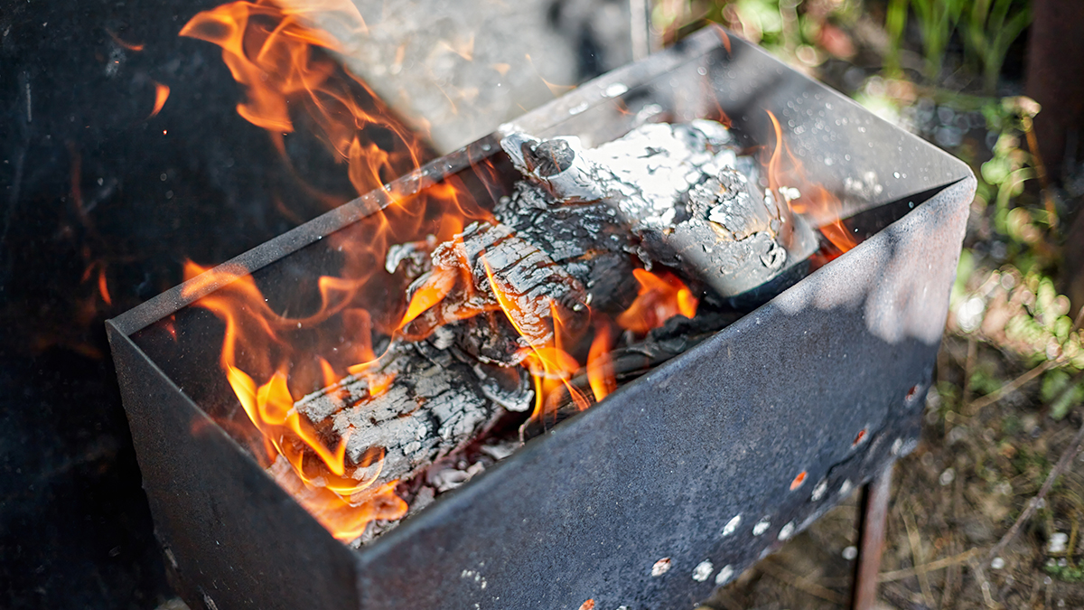 Стоимость шашлычного набора в Москве выросла на семь процентов за год