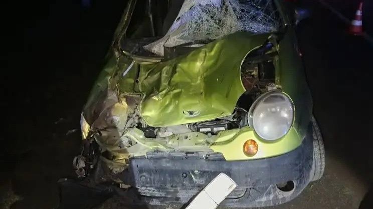 Легковушка въехала в табун лошадей на ночной трассе в Ставрополье