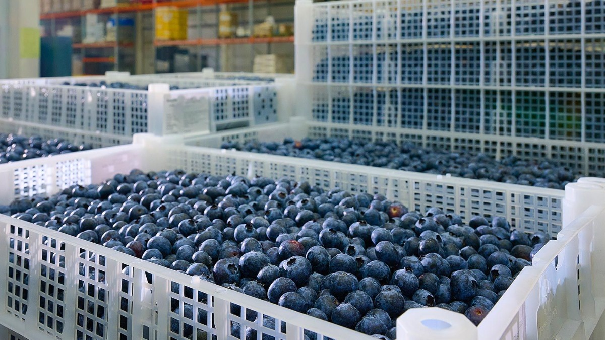 Предприятия Москвы расширили ассортимент постных продуктов