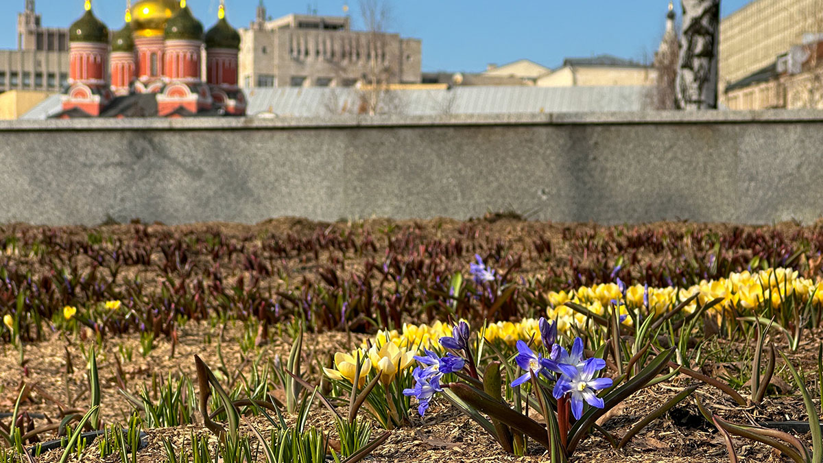 Погода в Москве 21 марта 2026 года