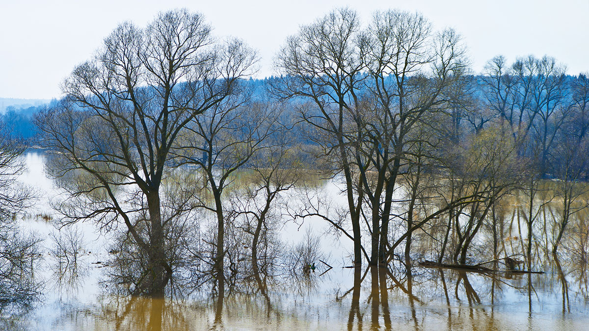Синоптик Леус рассказал, какие столичные водоемы скоро выйдут из берегов