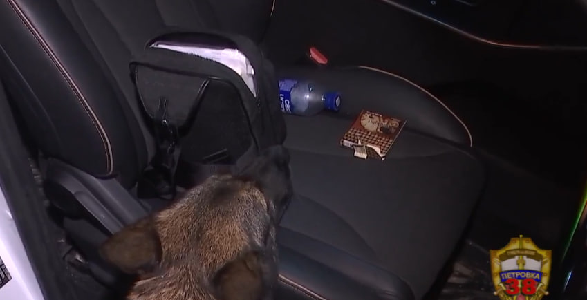 Сотрудники ДПС задержали водителя каршеринга, перевозившего марихуану в Москве