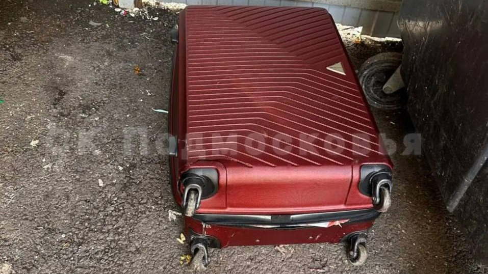 Стриптизер зарезал женщину в Красногорске, расчленил ее тело и выбросил останки на мусорку: главное о ЧП