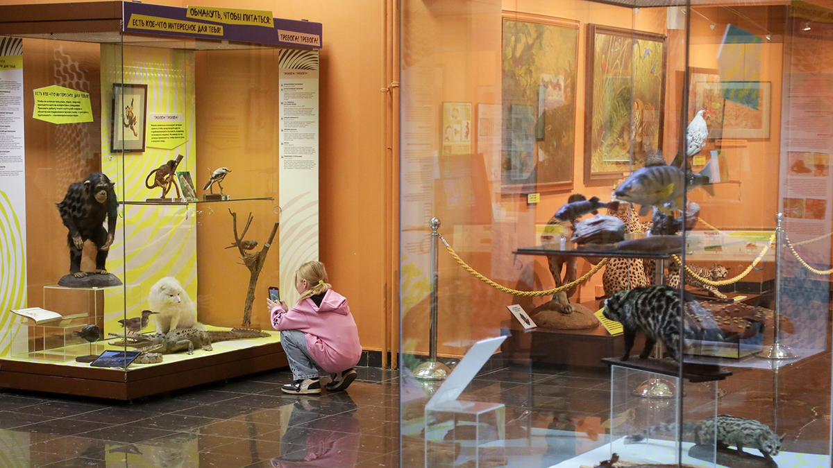 Музеи Москвы посетили более семи миллионов раз с помощью сервиса «Мосбилет»