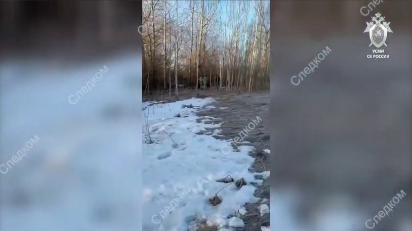 Убийство подростка в Петербурге: главное о произошедшем, месть бывшей девушки, расчлененное тело, задержания