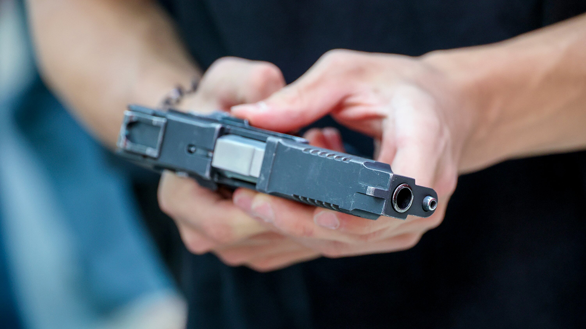 У жителя Химок, выращивавшего коноплю, нашли гашиш, пистолет и патроны