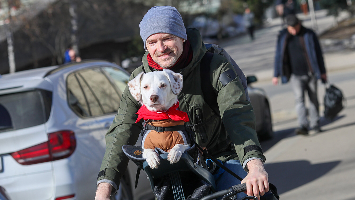 Какой будет погода в Москве до конца марта-2026