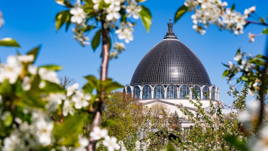 На ВДНХ приступили к подготовке деревьев и кустарников к летнему сезону 