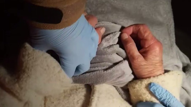 Восемь часов пролежала в снегу: 84-летнюю пенсионерку спасли в Подмосковье