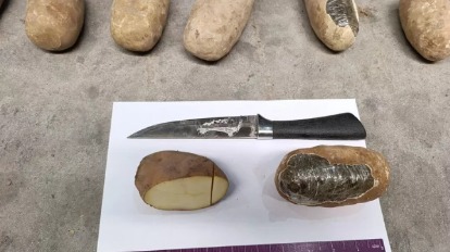 Гашиш под видом картошки пытались провезти в Россию из Афганистана 