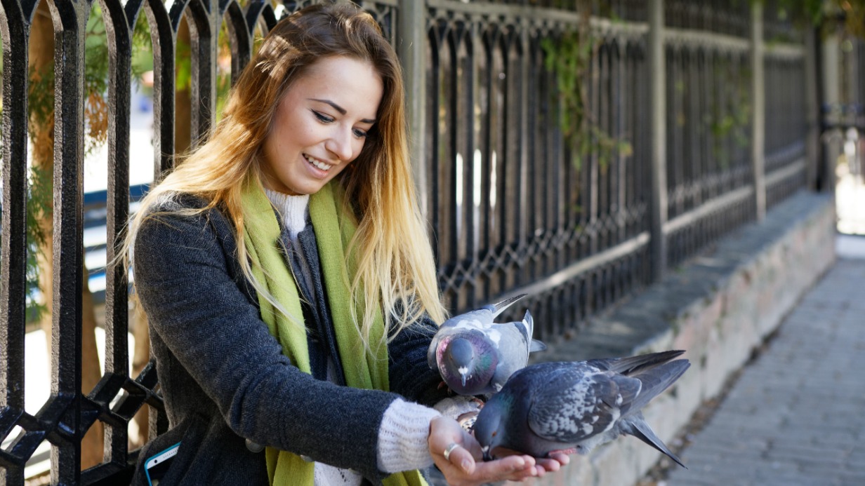 Любителям покрошить булку перед подъездом стоит задуматься о своем поведении — так можно не только получить штраф, но и погубить пернатых