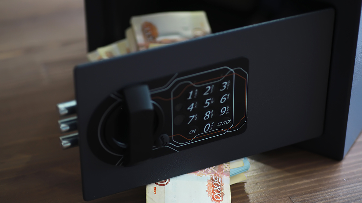 Студент вынес сейф с шестью миллионами рублей из квартиры москвички