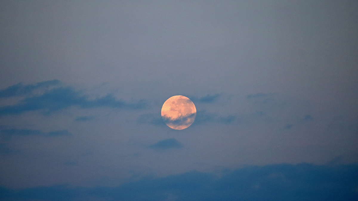 «Розовая» Луна взойдет над Россией в ночь на 2 апреля