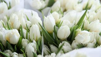 Мальчику отказались продать цветы для мамы на 8 Марта в Нижнем Новгороде