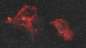 Роскосмос подарил женщинам «космический букет» в преддверии 8 Марта